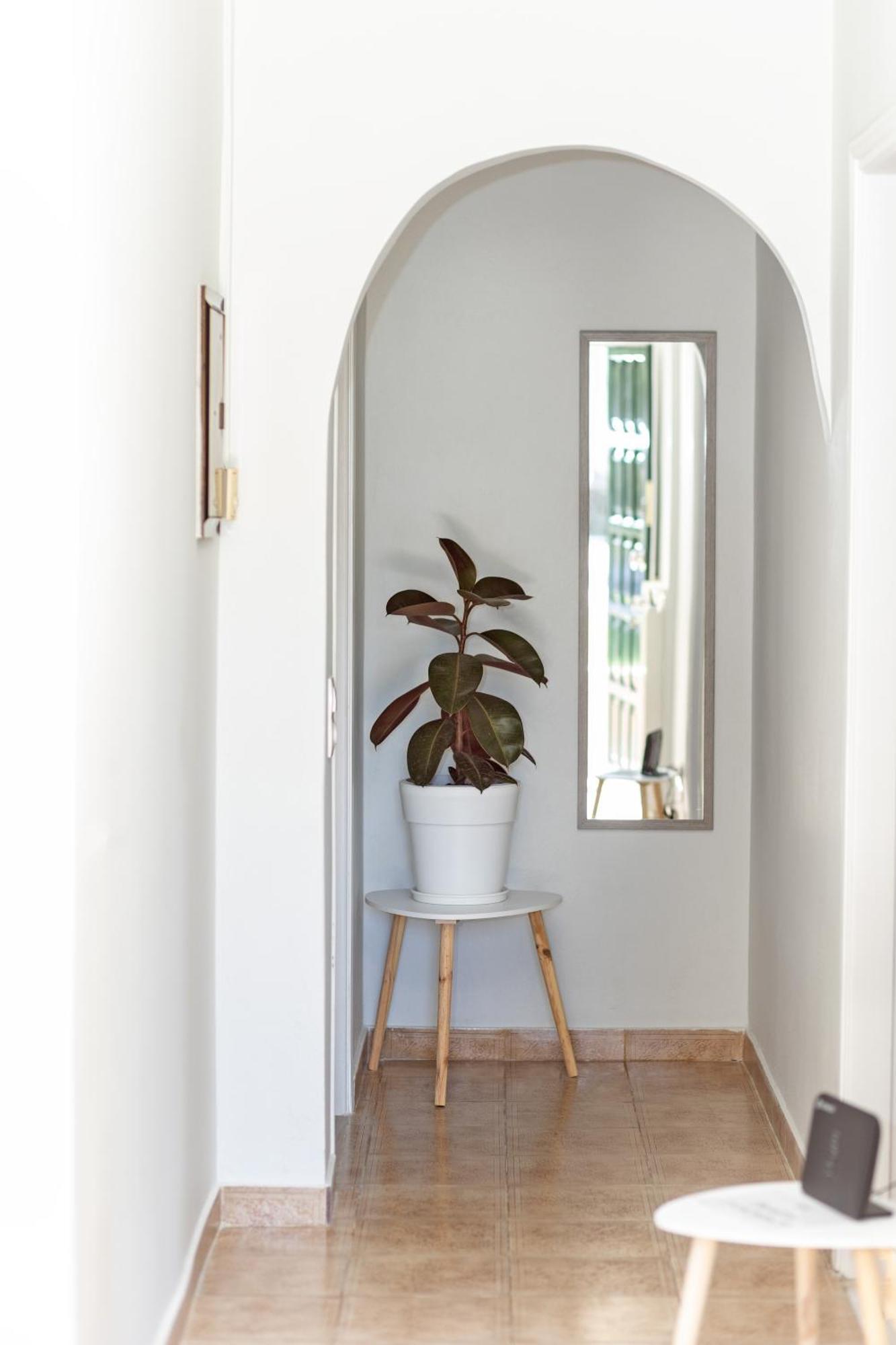 Apartment In An Olive Grove! *